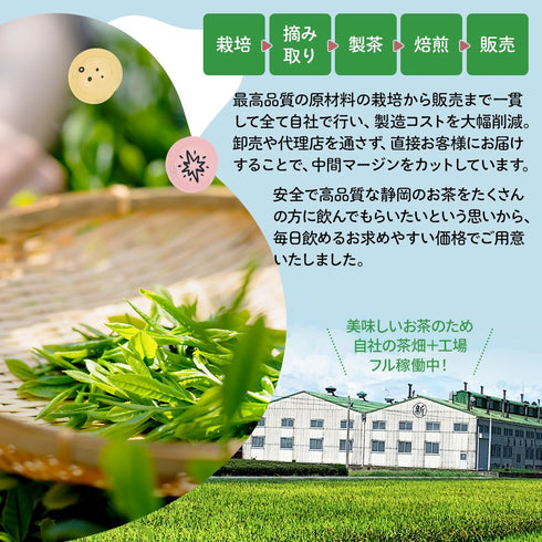 “不含咖啡因”1 杯 Taiyo-san Baby Bancha 茶包連繩 2.5g x 65 入